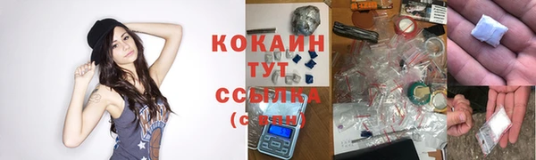 PSILOCYBIN Навашино