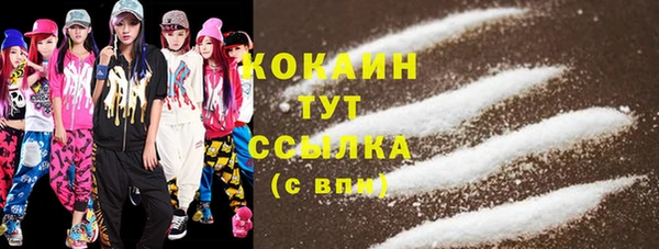 ПСИЛОЦИБИНОВЫЕ ГРИБЫ Аркадак